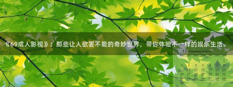 g10斑马系统视频：《69成人影视》：那些让人欲罢不能的奇妙世界，带你体验不一样的娱乐生活。