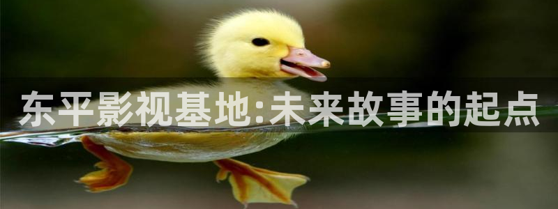 斑马视频在线观看电视剧免费全集高清：东平影视基地:未来故事的起点