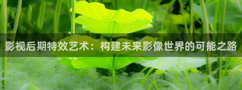 斑马v it：影视后期特效艺术：构建未来影像世界的可能之路