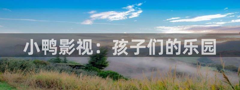 斑马ds2278：小鸭影视：孩子们的乐园