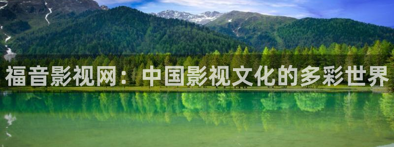 斑马 公司