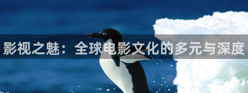 斑马自营
