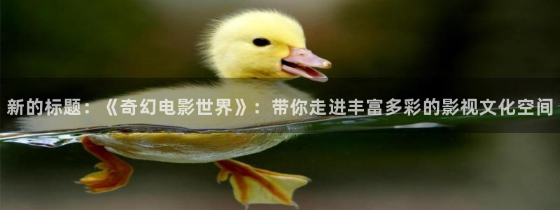 斑马ar：新的标题：《奇幻电影世界》：带你走进丰富多彩的影视文化空间