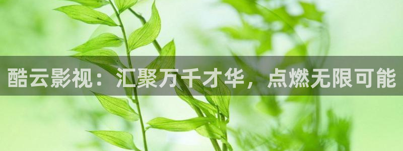 斑马电影街电影：酷云影视：汇聚万千才华，点燃无限可能