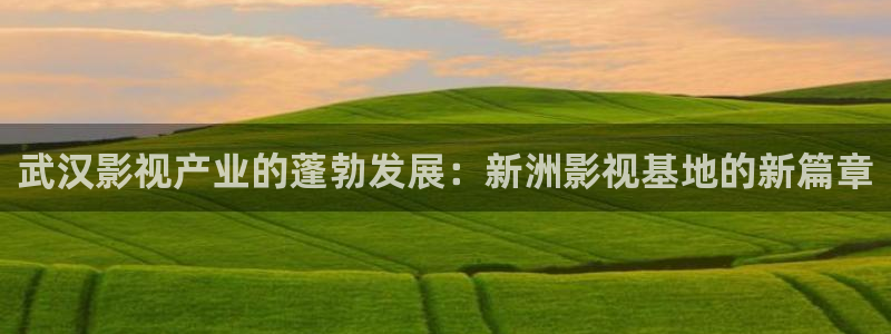 斑马复古：武汉影视产业的蓬勃发展：新洲影视基地的新篇章