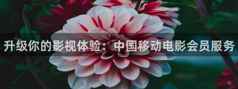 斑马音乐：升级你的影视体验：中国移动电影会员服务