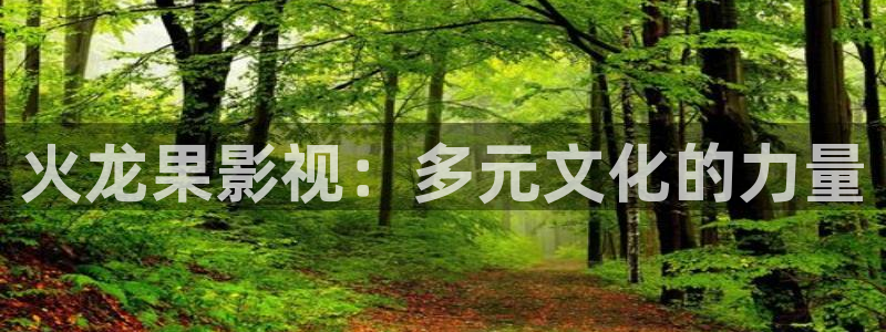 斑马电影街地址：火龙果影视：多元文化的力量
