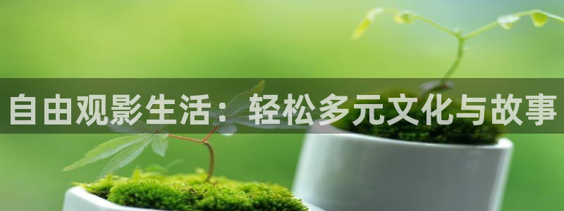 斑马 jjs2