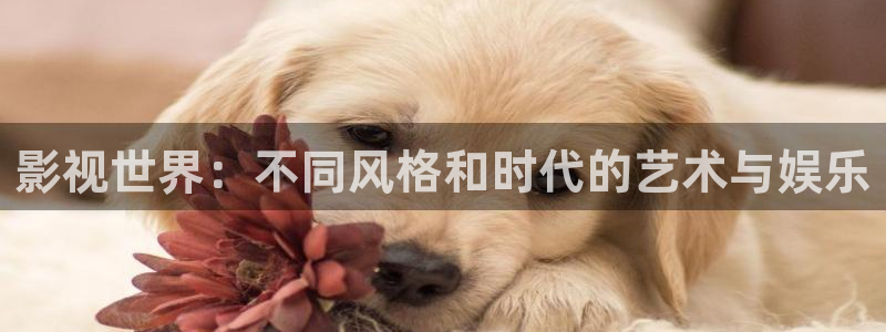 斑马课程可以在电视上看吗