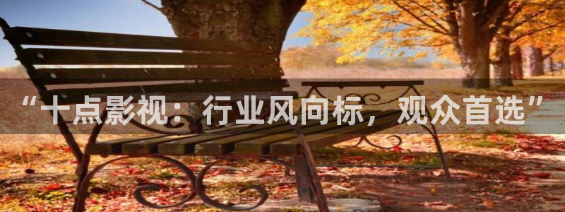 斑马电影一条街：“十点影视：行业风向标，观众首选”
