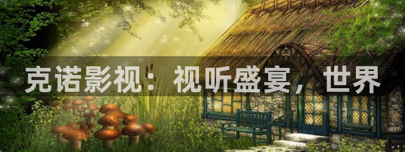 斑马ds2208：克诺影视：视听盛宴，世界