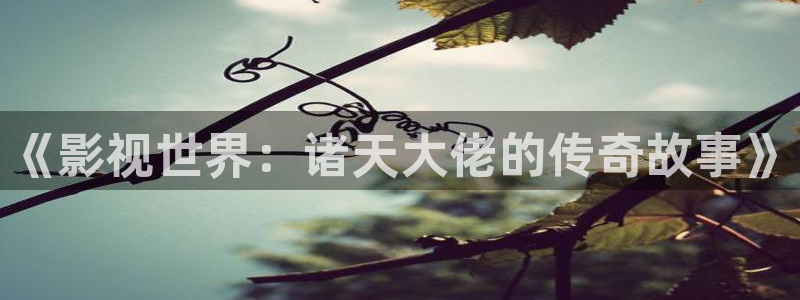 斑马电影：《影视世界：诸天大佬的传奇故事》