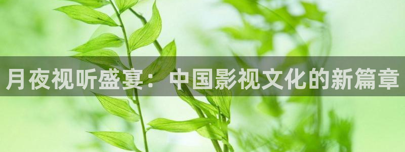 斑马jj1